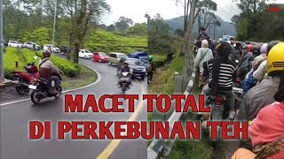 MACET TOTAL DI PERKEBUNAN TEH SAAT HARI LIBUR [upl. by Alleahcim]