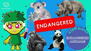 Endangered Animals  KS1 Science  STEM and Beyond [upl. by Trev415]