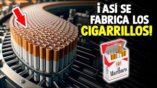 ¿Cómo Se Fabrican Los Cigarros Proceso En Fábrica [upl. by Mignonne]