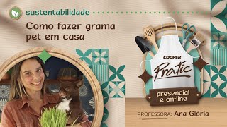 Como fazer grama pet em casa Cooper Pratic [upl. by Quartas584]