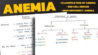 Anemia  Classification of Anemia  Iron Deficiency Anemia  Megaloblastic Anemia  Pathology [upl. by Einner]