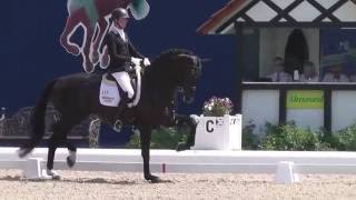 wwwreitschulesandbrinkde DAYTONA PLATINUM Qualifikation Bundeschampionat Hagen Dressage [upl. by Bradski621]