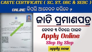 How to Apply Caste Certificate Online 2024  Caste Certificate Apply Online in Odisha [upl. by Aleunamme656]