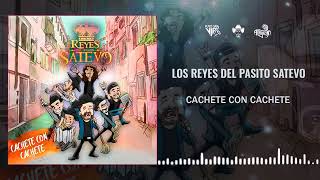 Los Reyes Del Pasito Satevo  Cachete Con Cachete  2022 [upl. by Ociredef]