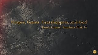 Grapes Giants Grasshoppers and God  Numbers 13 amp 14  930 am June 23rd Traditional Worship [upl. by Aivatnuahs]