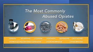 How do Opioids Cause Addiction  Heroin  Morphine  Oxycodone  Fentanyl  Hydrocodone [upl. by Jairia]