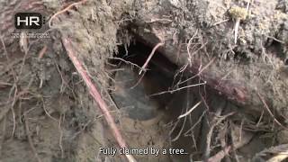 Artillery finds  WWII Relic Hunting amp Metal Detecting WW2 Treasures  Western Front Ep 12 HD [upl. by Yrreg]