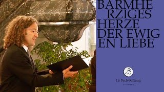 JS Bach  Aria quotBarmherziges Herze der ewigen Liebequot from Cantata BWV 185 [upl. by Jenna]