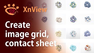 Create contact sheet or image grids with XnView for free  XnView Tutorial [upl. by Medarda]