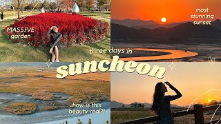 suncheon solo travel vlog ☀️🤍 wetland reserve naganeupseong folk village open drama filming set [upl. by Marcelle]