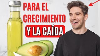 Semilla De Aguacate Molida  Para Qué Sirve  Beneficios Para Tu Salud Y Belleza [upl. by Elden300]