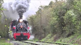 Tren de la Araucania y El ValdivianoGuerra de Silbatos [upl. by Humpage727]