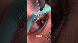 Lash lift tutorial beautiful lashes lashlift shorts beauty ysensbeauty [upl. by Eenhpad266]