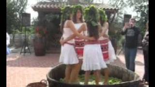 Fete dansand in struguri la Cramele Recas 2flv [upl. by Murvyn102]