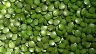 The Wonders of Chlorella [upl. by Nnahaid]