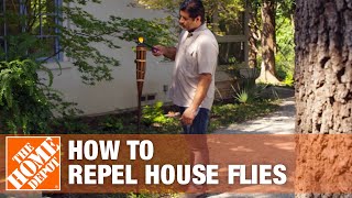 How to Keep Flies Away and Prevent Flies in Your House [upl. by Lahcsap]