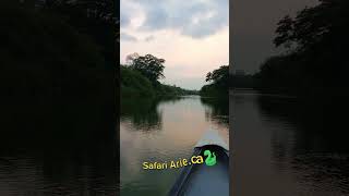 Day 3 of 300 km canoe trip on Belize River 🇧🇿 🛶 [upl. by Gamal]