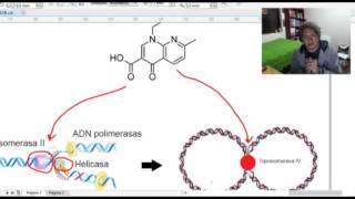 FARMACOLOGÍA  Antibióticos Mecanismos de Acción [upl. by Klemens]