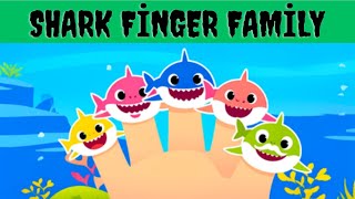 Baby Shark Where Are You  Shark Finger Family  Baby Shark Do Do Do Nursery Rhymes and Kids Songs [upl. by Imrots693]