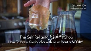 How To Make Kombucha With Or Without A SCOBY  Self Reliant Living 050 [upl. by Sarajane822]