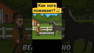 Как нога поживает 😅✨ гриффины familyguy сериал [upl. by Neil186]