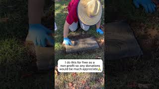 Preserving this WWI veterans grave marker🇺🇸🇺🇸 Grover C Hartenbower usa restoration patriot [upl. by Ellynad]