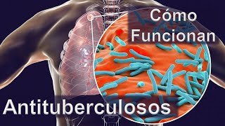 Fármacos contra la Tuberculosis Cómo funicionan y Consecuencias [upl. by Nede]