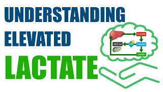 Understanding Elevated Lactate [upl. by Pacificia607]