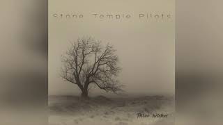 Stone Temple Pilots – Three Wishes Official Audio [upl. by Atoiyanap244]