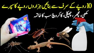 Get rid of mouse Mosquito Flies with homemade spray  Mosquito killer  Powerful Insects Killer [upl. by Sirapal740]