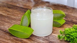 How To Make Fresh Aloe vera Gel Using Xanthan Gum as Thickener [upl. by Ailedo]