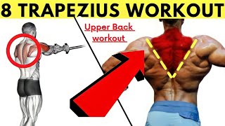 8 Trapezius Workout With Cable At Gym  Trapezius Exercises At Gym Hof upperback trapsworkout [upl. by Jarin]