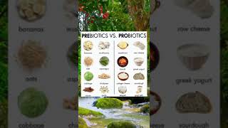 Prebiotics vs Probiotics for Healthier Youhealthtips healthylifestyle healthyfood [upl. by Hsiekal]