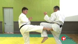 Karate  Offensive amp Defensive Strategies Part 1 of 2 [upl. by Dimo308]