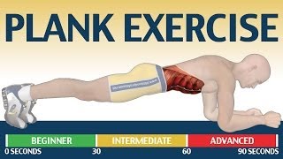 How to Plank exercise  The Ultimate Fitness Guide [upl. by Ddarb]