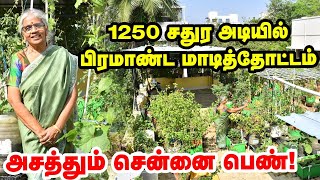 Amazing terrace Garden  அனைத்து காய்கறிகளும் மாடியில் அசத்தும் Chennai பெண்  organicfarming [upl. by Ellinger]