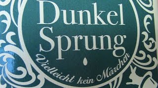 Rezension Dunkelsprung von Leonie Swann [upl. by Tien472]