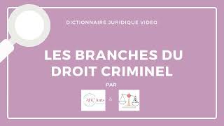 BRANCHES du DROIT CRIMINEL en droit pénal 🔤 [upl. by Neneek]