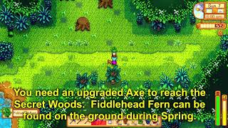 How to get Fiddlehead Fern  Stardew Valley 14 [upl. by Jeaz]