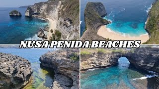 Visiting Beaches in Nusa Penida  Nusa Penida One Day Tour [upl. by Jobina]