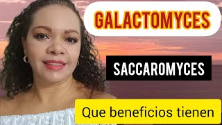 GALACTOMYCES  SACAROMYCES BENEFICIOS PARA LA PIEL [upl. by Seaddon]