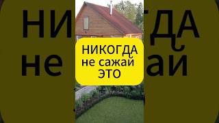 Никогда не сажай это на своем участке дача сад участок огород деревья [upl. by Mich]