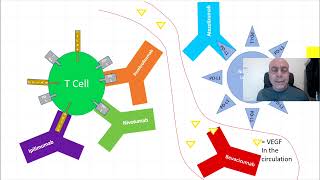 Monoclonal antibodies nomenclature [upl. by Nudnarb]