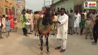 Welcome in Jhedu  Peer Adeel Shah Village Bodla Bahar Gaddi Nasheen ishqnagarstudioofficial [upl. by Boigie447]