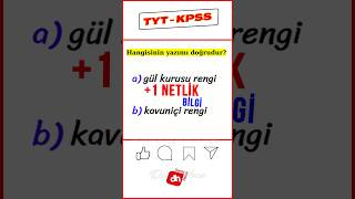 1 NETLİK YAZIM KURALI BİLGİSİ ✅ [upl. by Aalst842]