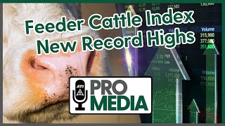 Feeder Cattle Index New Record Highs [upl. by Aili]