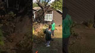 CUTTING TREES part 1 explore satisfyinglawncare oddlysatisfying explorepage lawncare [upl. by Tarttan]