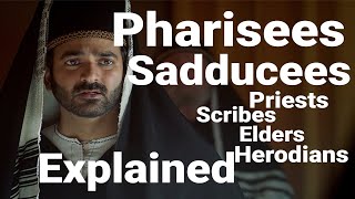 PHARISEES SADDUCEES Priests Scribes Elders Herodians EXPLAINED [upl. by Sloatman]