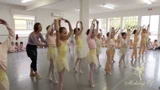 Imposível assistir sem sorrir Petit Ballet  Making Of de um Grande Sucesso [upl. by Foskett]