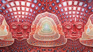 What World Do We Enter Under DMT and Ayahuasca [upl. by Liddie]